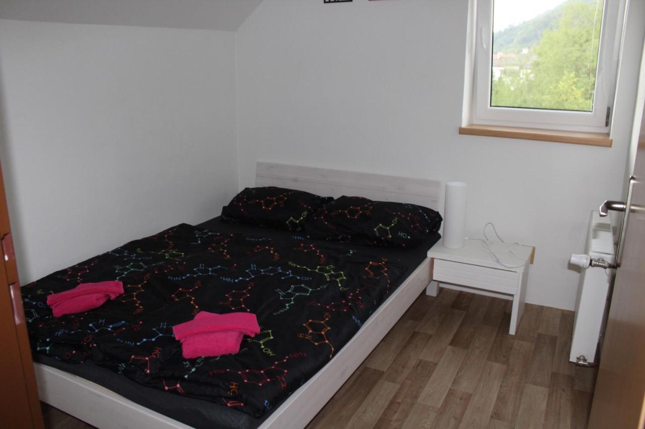 Apartman Rapotin, Jesenicka 296, 3Km Od Termalniho Parku Velke Losiny Zewnętrze zdjęcie